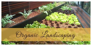 organic landscaping